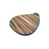 Ameba Coaster
