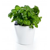 Herb2O Plant Pot